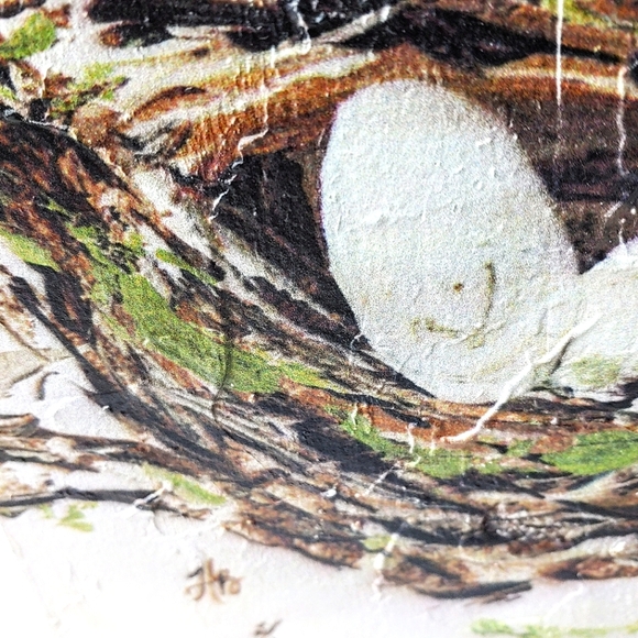 Raz Imports birds nest accent drawings. Green/white/gray. 2 piece set. - Picture 8 of 12